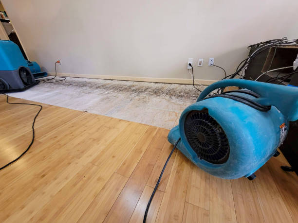 Professional Basement Flood Cleanup technician working in Marion, SD